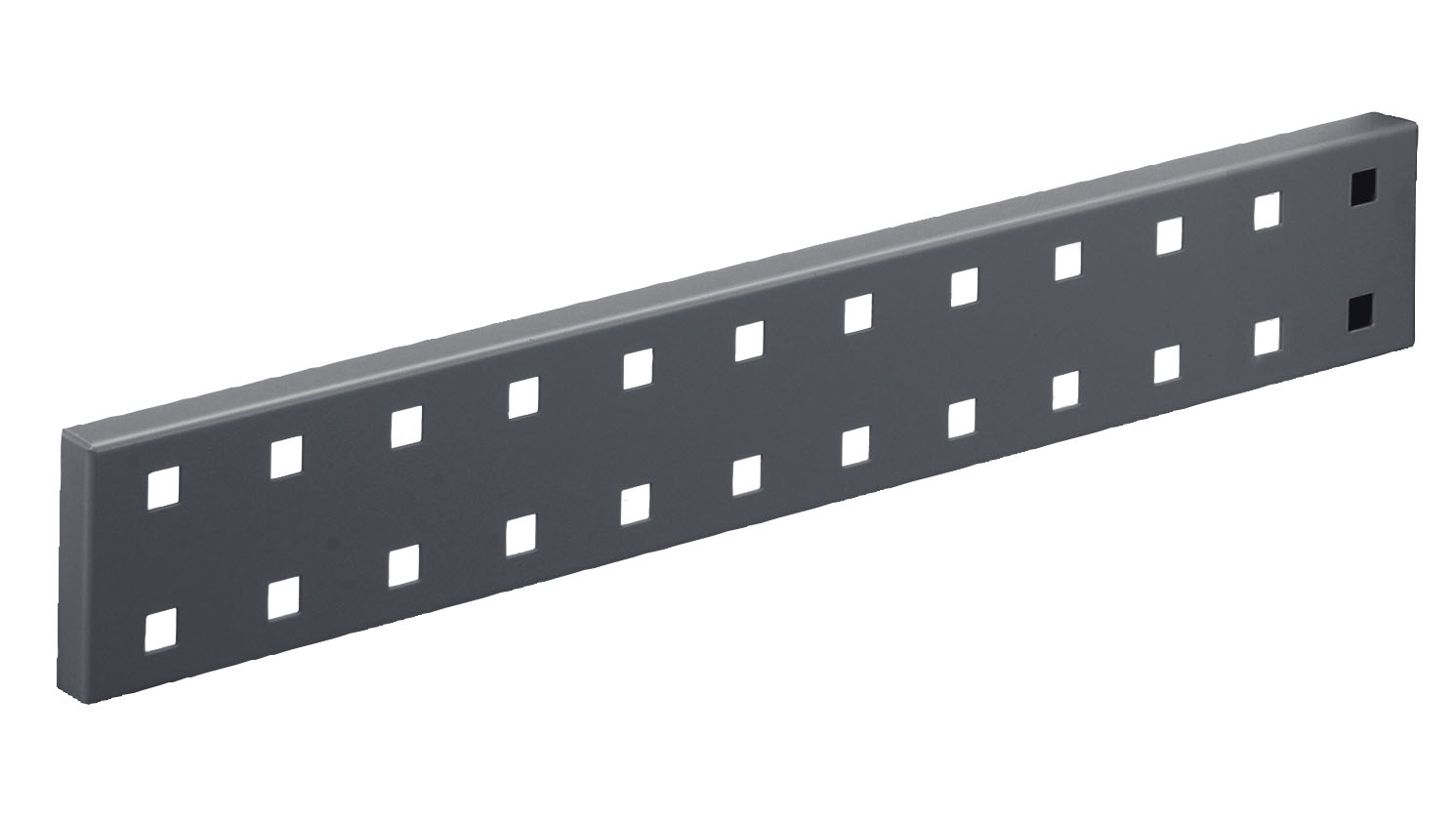 ®RasterPlan Wandschiene Lochplatte L 460 x H 70 mm RAL 7016.