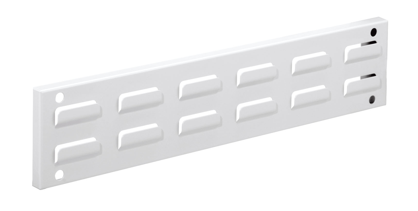 ®RasterPlan Wandschiene Schlitzplatte L 460 x H 100 mm. RAL 7035.