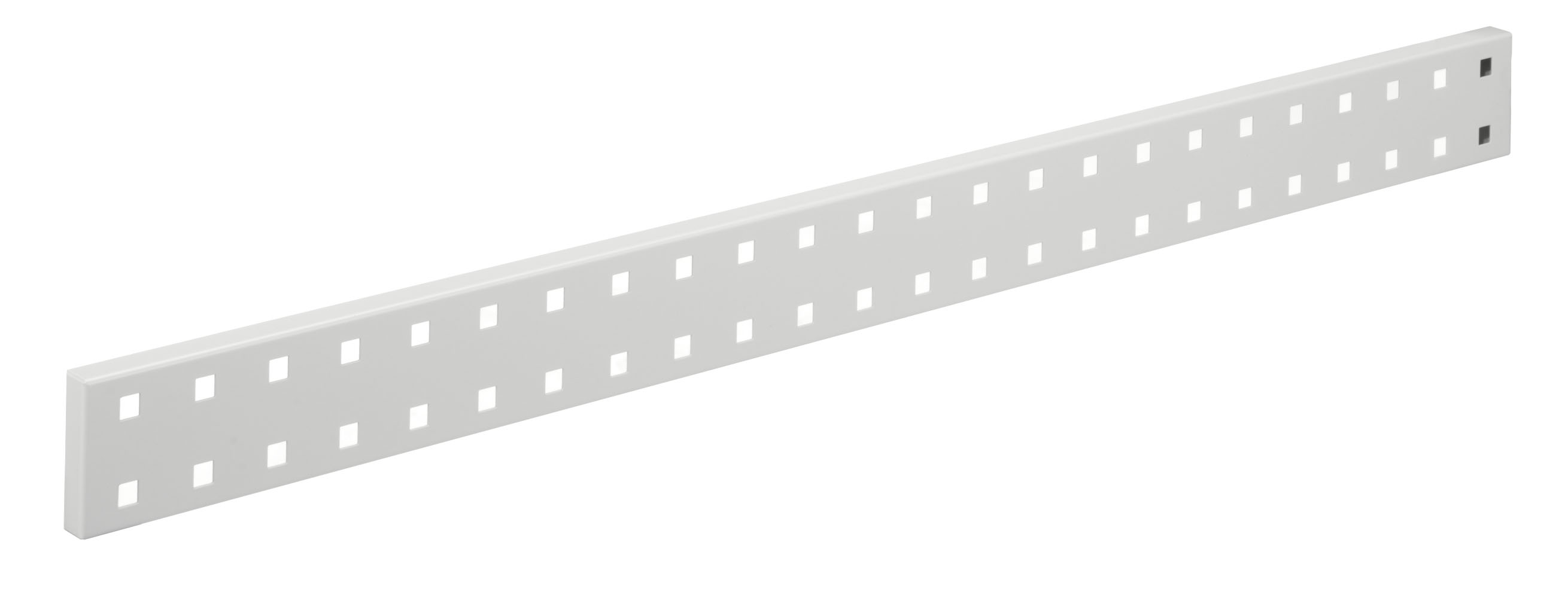 ®RasterPlan Wandschiene Lochplatte L 920 x H 70 mm RAL 7035.